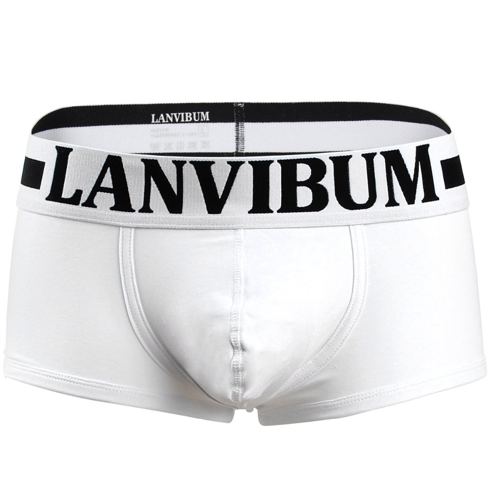 Lanvibum